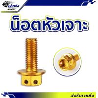 ราคา ส่งเร็ว น็อตหัวเจาะ สีทอง 8X20 mm น็อตแต่ง น็อตทอง น๊อตแต่งรถมอไซ น๊อตทอง น๊อตแต่ง (21803629230)