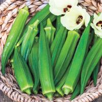 ราคา 50 เมล็ด กระเจี๊ยบแดง และ กระเจี๊ยบเขียว กระต้าด มะเขือมอญ มะเขือมื่น สายพันธุ์ไทยและเวียดนาม Okra Seeds (21730172166)