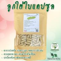 ราคา ลูกใต้ใบ ขนาด 50 100 แคป 1เม็ด 500 มก สมุนไพรแท้ 100 ไม่ผสม ออร์แกนิค สินค้าคุณภาพดีผลิตจากจากวิสาหกิจชุมชน เชียงราย (20044606943)