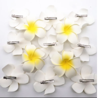 ราคา ดอกลีลาวดี กิ๊บดอกลีลาวดี 8cm พร้อมส่ง (21440171643)