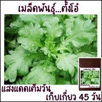 ราคา 100 เมล็ด เมล็ดพันธุ์ตั้งโอ๋ ไม่ใช่ขึ้นฉ่าย (21956481134)