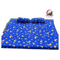 ราคา ที่นอนปิคนิค ที่นอนราคาถูกๆ ที่นอนขนาด 5 ฟุต หนา 3 นิ้ว หมอนหนุนสองใบ (18268422131)