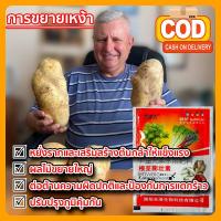 ราคา ปุ๋ยมันสำปะหลัง ฮอร์โมนมันสำปะหลัง ปุ๋ยน้ำ ระเบิดหัวมันสำปะหลัง ปุ๋ยเร่งหัวมัน สูตรบำรุงหัวมัน เพิ่มแป้ง เพิ่มน้ำหนัก (20901386505)