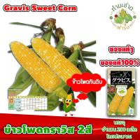 ราคา ซองแท้ 200เมล็ด เมล็ดพันธุ์ ข้าวโพด กราวิส ข้าวโพด 2สี Gravis Hokkaido Sweet Corn ข้าวโพดฮอกไกโด ข้าวโพดนมสด (2793180423)