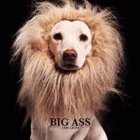 ราคา CD Big Ass The Lion (7617987597)