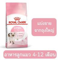 ราคา แบ่งขาย อาหารแมว Royal Canin Kitten สูตรลูกแมว ช่วงวัย 4 12 เดือน (21911712610)