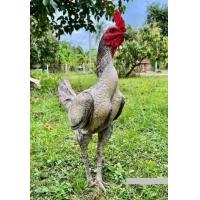 ราคา ไข่เชื้อพม่าเยียร์ 100 เป็นไก่เหลี่ยมลีลาแข้งหน้าจัดติดม้าล่อ (21593232149)