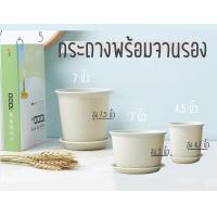 ราคา BBtoHOME กระถาง กระถางต้นไม้ พลาสติกสีขาวนวล ลายหินอ่อน (3831998891)