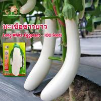 ราคา เมล็ดพันธุ์ มะเขือยาวขาว บรรจุ 100 เมล็ด White Long Eggplant Seeds Organic Vegetables Seeds for Planting เมล็ดมะเขือยาวขาว F1 เมล็ดพันธุ์ผัก ผักออร์แกนิก เมล็ดบอนสี ผักสวนครัว ต้นไม้มงคล ต้นผลไม้ บอนไ