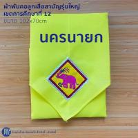 ราคา นักเรียน ผ้าพันคอลูกเสือสามัญรุ่นใหญ่ เขตการศึกษาที่ 12 ชลบรี จันทบุรี ระยอง สระแก้ว ปราจีนบุรี ฉะเชิงเทรา ตราด นครนายก 102x70cm (22075359606)