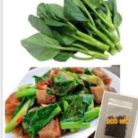 ราคา เมล็ดคะน้าใบ คะน้า ซื้อ 10 แถม 1 คละอย่างได้ (4625362909)