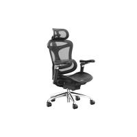 ราคา เก้าอี้สุขภาพ Sihoo Homey Ergonomic Chair A3 C300 (21418952619)
