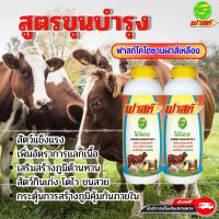 ราคา เสริมสร้างภูมิคุ้มกันให้สัตว์ ใช้ได้ดีกับสัตว์ทุกชนิด วัวท้อง วัวเล็ก วัวเด็ก วัวป่วย วัวแม่ลูกอ่อนใช้ได้ ฟาสท์ไคโตซาน ฝาสีเหลือง2ขวด ไคโตซานสัตว์ (20922798328)