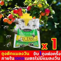 ราคา ภายใน1000เมตรไม่มีแมลงวัน เครื่องดักแมลง จับ1ถุงต่อครั้ง ที่ดักแมลงวันทองกับดักแมลงวันทอง กับดักแมลงวันผลไม้ แผ่นดักแมลงวัน สารล่อแมลงวันทอง น้ำยาล่อแมลงวันทอง สารล่อแมลงทอง ยากำจัดแมลงวันทอง สารล่อแม
