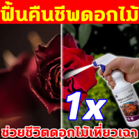 ราคา คืนความสวยงามของดอกไม้ ปุ๋ยกุหลาบ 500ml ปุ๋ยใส่กุหลาบ ปุ๋ยเร่งดอก เร่งดอก สามารถส่งเสริมรากให้แข็งแรง ใบสีเขียว และดอกบานมากขึ้น ปุ๋ยกล้วยไม้ ปุ๋ยไม้ดอก ปุ๋ยเร่งดอกดก ปุ๋ยดอกไม้ ปุ๋ยเร่งดอก ผล ดูดซึม