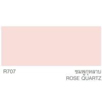 ราคา TOA Roof Paint รูฟเพ้นท์ 1 กล 3 78ลิตร หน้า 3 3 สี สีทากระเบื้อง สีทาหลังคา สนามกีฬา R291 R292 R203 R800 R591 R707 R100 R312 R391 R390 R314 R313 R315 R999 RoofPaint (8024144289)