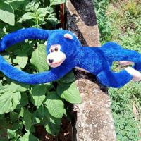 ราคา ลิง ลิดกอดคอ ลิงของเล่น ลิงห้อยในรถ ลิงแขนยาว ตุ๊กตาลิง ตุ๊กตาลิง ผ้าขน (10176786582)