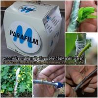 ราคา พาราฟิล์ม Parafilm ของแท้ 100 แบ่งขาย 10 ฟุต (21746721087)