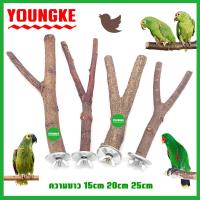ราคา คอนลับเล็บ คอนนก คอนยืนนกแก้ว คอนลับเล็บนก คอนตัวY อุปกรณ์เลี้ยงนก (21117365719)