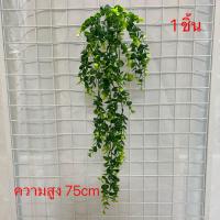 ราคา พร้อมส่ง เขากวาง ยูคา เฟิร์น โปทอส รวมต้นไม้ใบไม้ประดับช่อแขวน ต้นไม้ประดิษฐ์ สวยงามเสมือนจริง ความยาว70 120cm (21962668000)