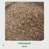 ราคา ใบก้ามปูหมัก ดินใบก้ามปู ร่อนละเอียด ร่อนหยาบ ใบ ธาตุอาหารไนโตรเจนสูง ขนาด 1กิโลกรัม (22104848472)