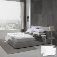 ราคา SB Design Square ที่นอน Dunlopillo รุ่น Arthur ขนาด 5 ฟุต แถมฟรีสมนาคุณ 11 ชิ้น (19464614826)