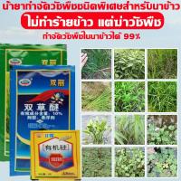 ราคา ไม่ทำร้ายข้าว100 ยาฆ่าหญ้าในนาข้าว ซื้อ1แถม3 ยาฆ่าหญ้าในนา กำจัดวัชพืชในนาข้าวได้ 99 99 ยาคุมหญ้าข้าว 60ปีไม่มีวัชพืชขึ้นหลังใช้ 1 ครั้ง ประหยัดข้าวจากวัชพืช คุมฆ่าในนาข้าว สารกำจัดวัชพืชในนาข้าว ยาฆ 