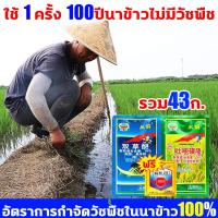 ราคา ไม่ทำร้ายข้าว แต่ฆ่าวัชพืช ยาฆ่าหญ้าในนาข้าว รวม43ก ยาฆ่าหญ้าในนา กำจัดวัชพืชในนาข้าวได้ 100 ประหยัดข้าวจากวัชพืช ยาคุมหญ้าข้าว คุมฆ่าในนาข้าว เห็นผลรวดเร็ว 100ปีไม่มีวัชพืชขึ้นหลัง สารกำจัดวัชพืชในน 