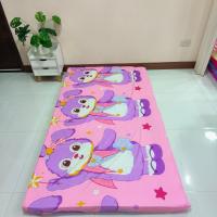 ราคา ปลอกที่นอนปิคนิค ขนาด 3 5 5 6 ฟุต เลือกลายได้ เฉพาะปลอก (21366216767)