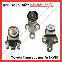 ราคา ลูกหมากปีกนกล่าง Camry ACV30 SCV20 SXV10 (21992744820)