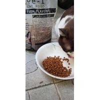 ราคา อาหารแมวสตรใหม่ไฉไลได้สุขภาพแมวเหมียว รสปลา ไก่ Active 1 แอ็คทีฟวัน ขนาด 1kg ถุงแบ่งทดลองได้ (21659157220)