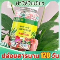 ราคา ปุ๋ยโตเร็ว 300 กรัมปุ๋ยเร่งรากใบไม่เป็นอันตรายต่อรากใบปุ๋ยเร่งดอกสารเร่งรากสารอาหารอยู่ได้นาน 40 วัน อาชีพเติบโตเร็วมาก ดอกไม้สวยงามกว่า ผลมีขนาดใหญ่กว่า (20862691060)