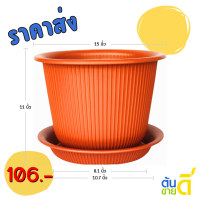 ราคา กระถาง กระถางต้นไม้ มินิมอล ฮีโร่ จาน ขนาด 15 นิ้ว สีดำ สีขาว สีเทา สีอิฐ (22025444240)