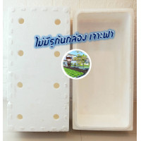 ราคา กล่องโฟมปลาแซลมอน กล่องโฟม ลังโฟม กล่องเก็บความเย็น กล่องโฟมเก็บความเย็น foam cooler box ปลูกผัก (21611579299)