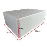 ราคา กล่องโฟมกุ้งแบบหนาทรงแบน ลังโฟม กล่องเก็บความเย็น กล่องปลูกผักไฮโดร กล่องขนาด54x39x20cm (21817815990)