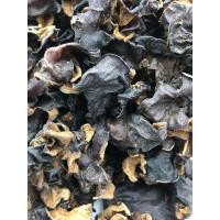 ราคา เห็ดหูหนูดำแห้ง ear mushroom ขนาด 100 กรัม เห็ดหูหนูดำ ไทย เห็ดหูหนูดำอบแห้ง เห็ดหูหนู เห็ดหูหนู ดำ เห็ดหูหนูแห้ง (16651250845)