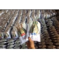 ราคา ปลาทูมัน ปลาทูหอม เค็มมาก 3 ตัว แพ็ค ไซส์มินิ 22 บาท เกรด A (22089524337)