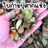 ราคา ใบก้ามปูแห้ง ถูกที่สุด แบ่งบรรจุ 100 กรัม ใบฉำฉา ใบจามจุรี คัดใบล้วน ใบแห้ง ไม่มีดินผสม ตากแดดฆ่าเชื้อโรคแล้วค่ะ (13185612536)
