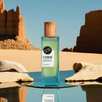 ราคา น้ำหอมบลูเบอร์รี สูตรน้ำ กลิ่น BLUE ORGE WHO SHIED Blueberry (21543278657)