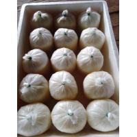 ราคา ส่งฟรี Pre Order 1 Week นมแพะแท้ ๆ สด ๆ นมแพะดิบแท้ 100 จากฟาร์มแพะ จ สระบุรี ขั้นต่ำ 3 โล Fresh Goat Milk Freeze Minimum 3 kg (21953399923)