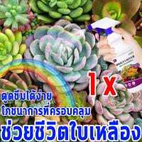 ราคา สารละลายสารอาหารสำหรับไม้อวบน้ำ 500ml ปุ๋ยพืชอวบน้ำ ส่งเสริมการงอก ทำให้ใบหนาขึ้น หนาขึ้นและอวบอ้วน ปุ๋ยบอนไซ ป้องกันไม่ให้ใบเหลืองเติบโต ปุ๋ยดอกไม้ ส่งเสริมการออกดอก น้ำยาเร่ง ราก ส่งเสริมการเติบโตข 