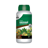 ราคา มะเขือ โตไว ใบเขียว ผลใหญ่ แข็งแรง ผลผลิตดี ลดต้นทุนปุ๋ย อะมิโนโปรตีนจำเป็นสำหรับพืช 20 ชนิด อะมิโนแรปเตอร์ ตรา ไดโนเร็กซ์ (21419171384)