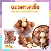 ราคา แมคคาเดเมีย 500g อบพร้อมทาน แบบมีเปลือก เต็มเม็ด มีที่แกะเปลือก แมคาเดเมีย Macadamia (6365182600)