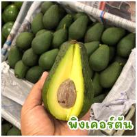 ราคา พร้อมส่ง 1KG อโวคาโด้แฮส 034 TA21 บูธ7 แก่จัด avocado hass (22110308241)