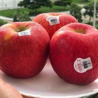 ราคา แอปเปิ้ลเอนวี่ ENVY APPLE NewZealand USA Apple หวาน กรอบ อร่อย ราคา 1ลูก ไซส์M (16342760936)