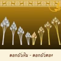 ราคา ดอกบัวเงิน บัวทอง 1 แพ็ค 6 ดอก งานคุณภาพเกรด A สีเงา สวยงาม (21397807571)