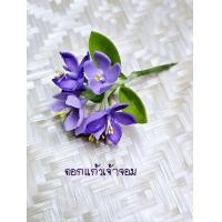 ราคา ดอกไม้เสียบผม ดอกแก้วเจ้าจอม ดอกไม้ดินญี่ปุ่น (21972501606)