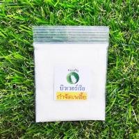 ราคา แตงโมจิ๋ว แตงโมคอนโด 10แถม1 ถูกที่สุด10 บ เมล็ดพันธุ์แตงโมจิ๋ว 5 30เมล็ด งอกง่าย โตไว ลูกดก แตงโมกระถาง แตงโมแคระ (22051086277)