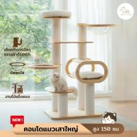 ราคา New คอนโดไม้ยางพารา เสาใหญ่พิเศษ15ซม สูง160ซม คอนโดแมวสไตล์มินิมอล A63 (22042880455)