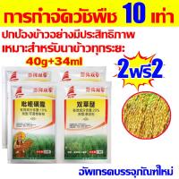 ราคา กำจัดวัชพืชในนาข้าวได้ 100 ไม่ทำร้ายข้าว ยาคุมหญ้าข้าว ใช้1ครั้ง50ปีนาข้าวไม่มีวัชพืช ยาฆ่าหญ้าในนาข้าว 20g 17ml ประหยัดข้าวจากวัชพืช คุมฆ่าในนาข้าว กำจัดวัชพืชในนาข้าวได้ คุมเลนนาข้าว ยาคุมหญ้า กำจั 